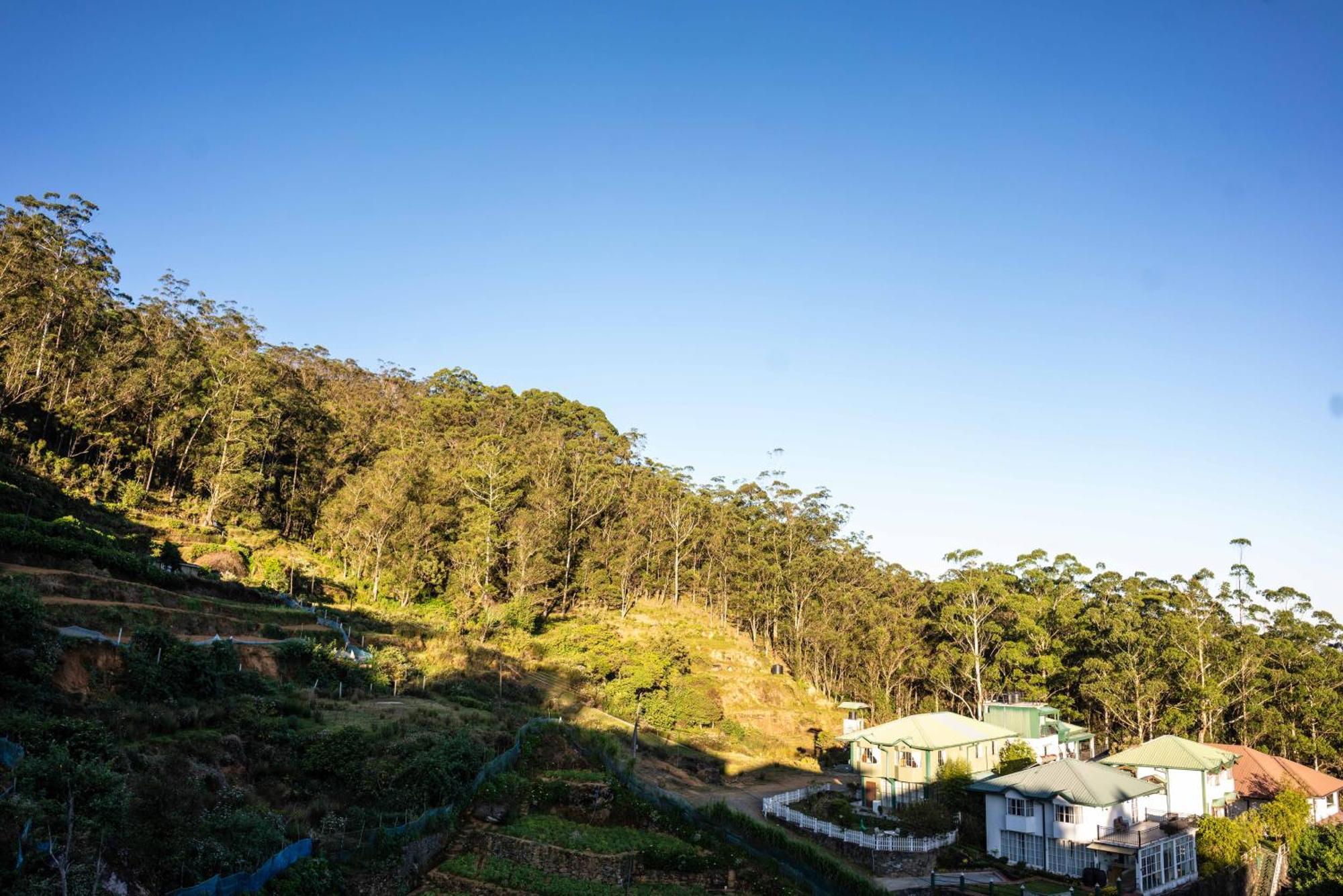Forest View Lodge Nuwara Eliya Dış mekan fotoğraf