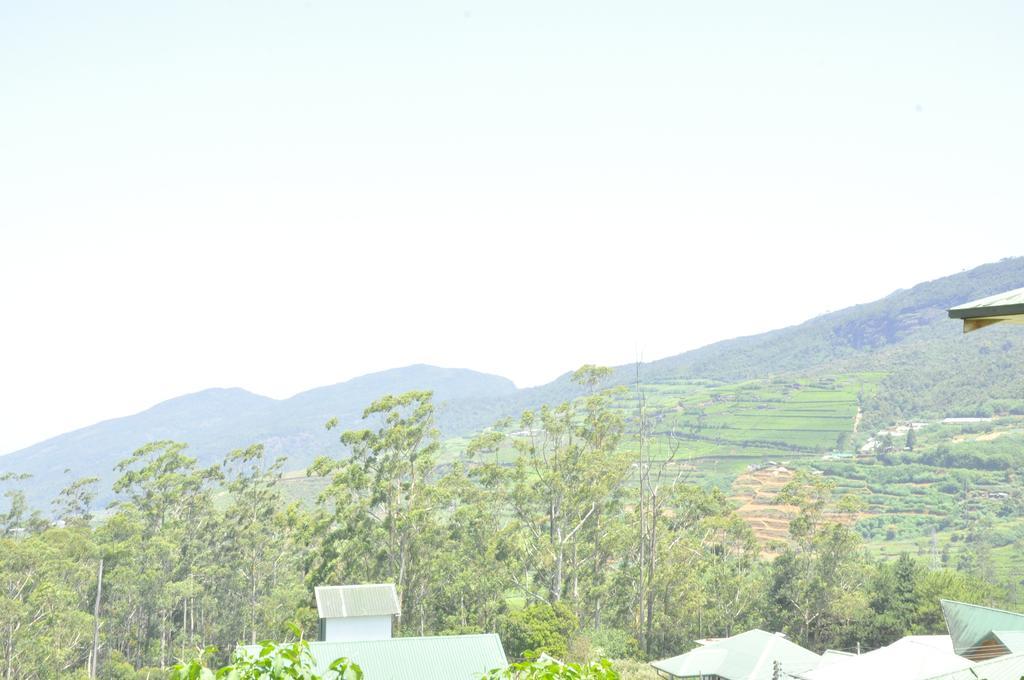 Forest View Lodge Nuwara Eliya Dış mekan fotoğraf